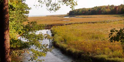 Science and Nature Activities in Maine