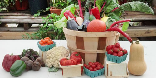 Pick Your Own Farms and Orchards in New Hampshire