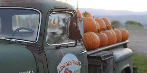 Fall Foliage in Vermont - West & Central Mountains Scenic Drive