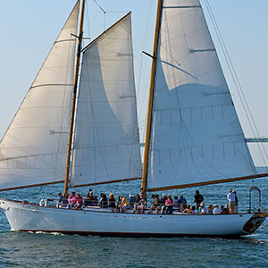 Charter & Cruises