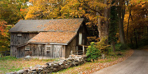 Click here for prints of this image Dirt Roads Are Down To Earth - Litchfield County, CT in Fall - Photo Credit © Thomas Schoeller Photography