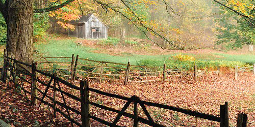 Click here for prints of this image Mystique Fall Barn in the Southern Berkshires - Photo Credit Thomas Scholler Photography